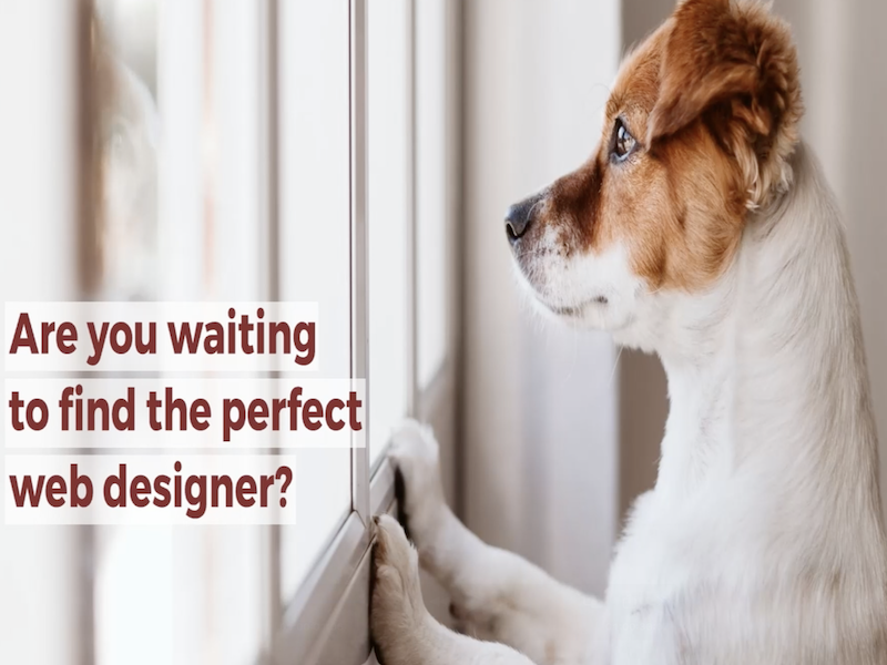 Reliable web design broker